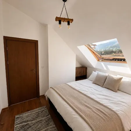 Fresh With Mountain View, Close To Gondola Apartment