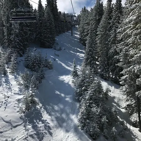 Apartment Fresh With Mountain View, Close To Gondola *